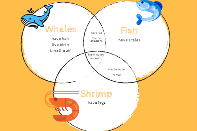 venn diagram maker