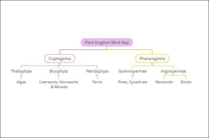Plant Kingdom Mind Map by Gitmind